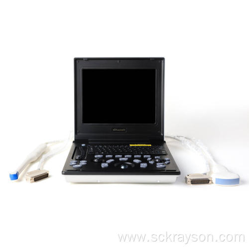 Laptop ultrasound of Persian cat kidneys